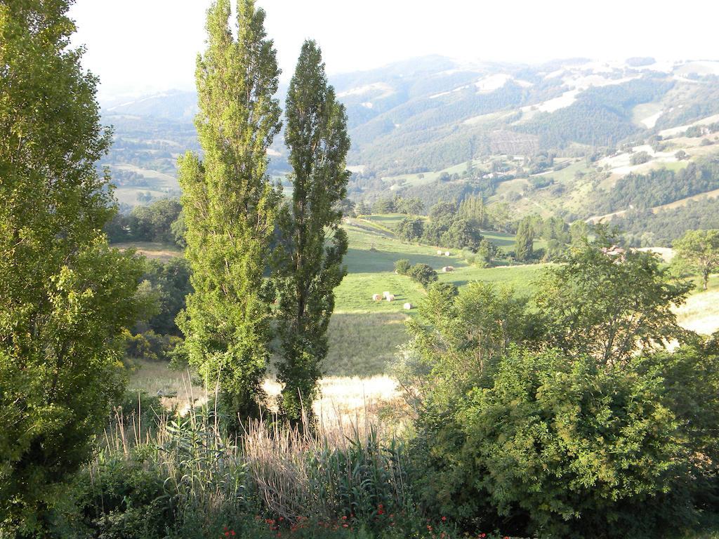 Agriturismo Borgo San Benedetto Villa Pietralunga  Bagian luar foto