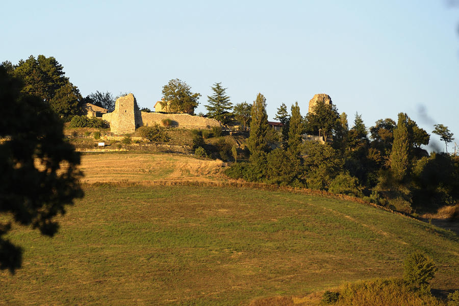 Agriturismo Borgo San Benedetto Villa Pietralunga  Bagian luar foto